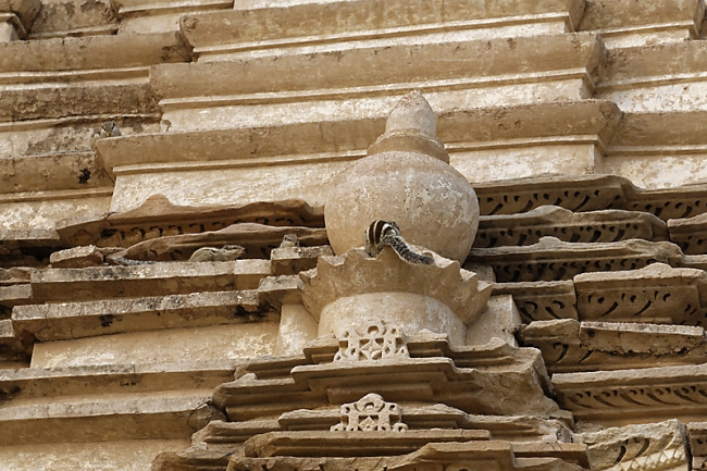 Khajuraho-Eastern group-099